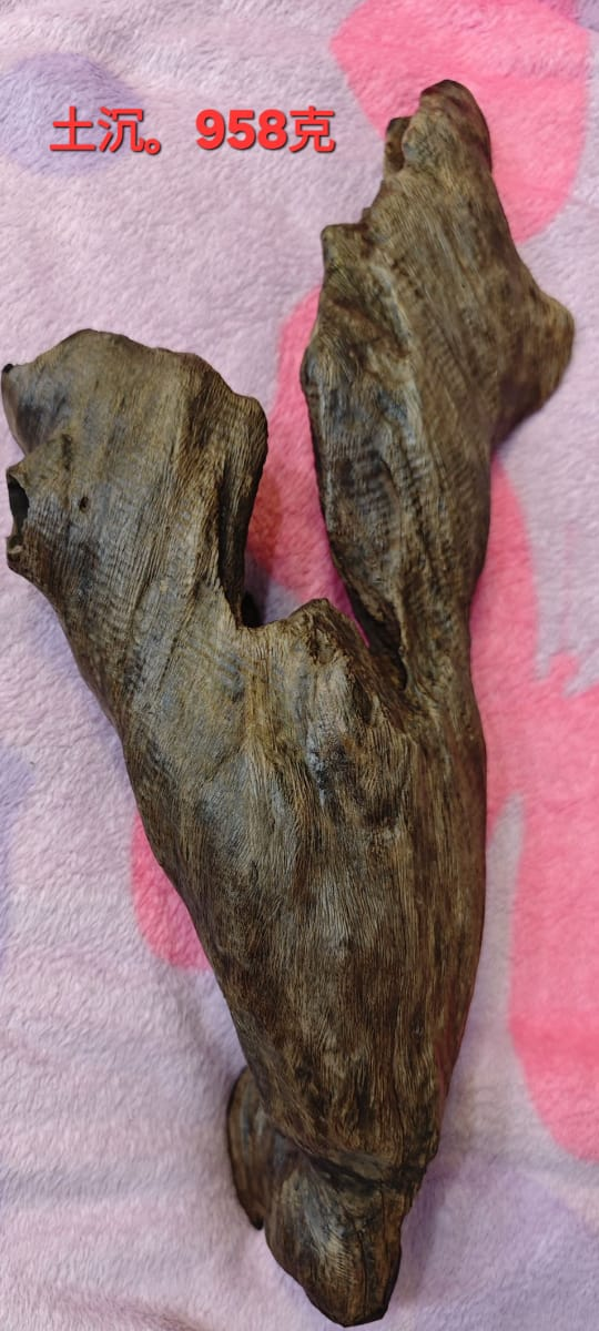 Earth-aged wood · 958 g