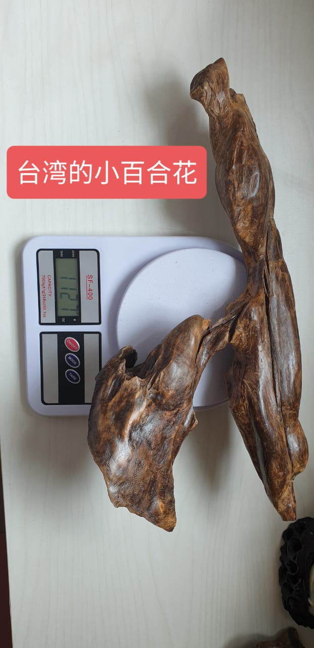 Natural sculptural wood