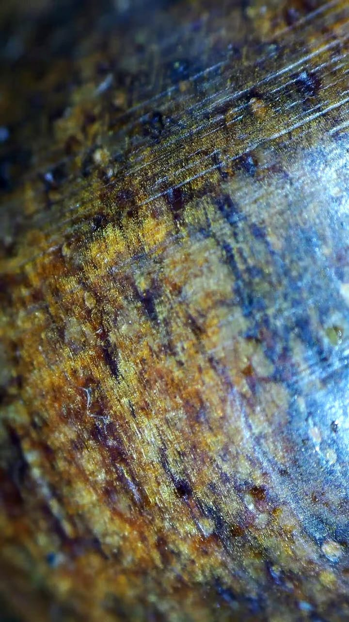 Wood grain — magnified detail