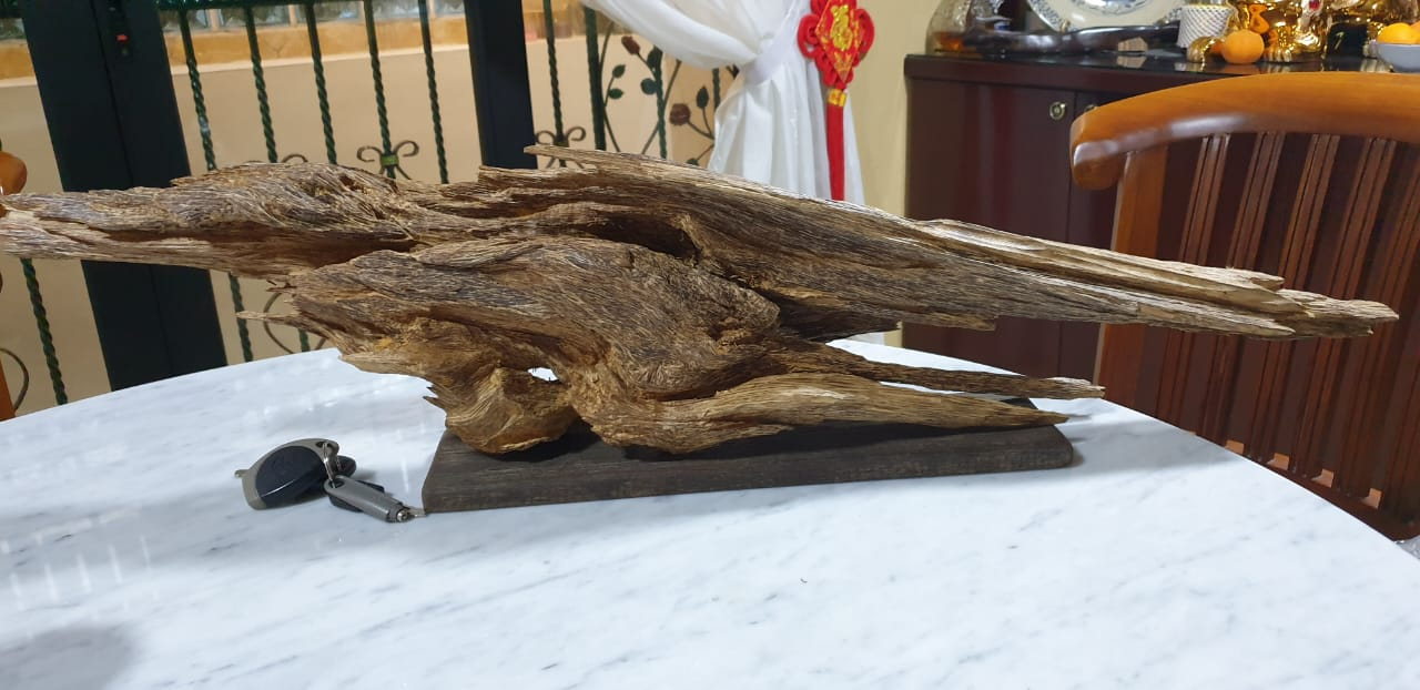 Dancing Phoenix — display view