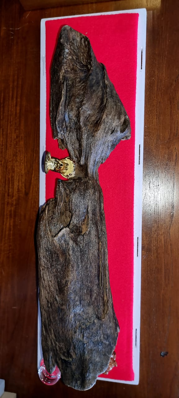 Emperor’s Cup, 1373gm old agarwood — full view
