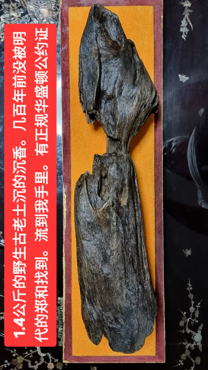 Emperor’s Cup, 1373gm old agarwood — collector’s annotated photograph