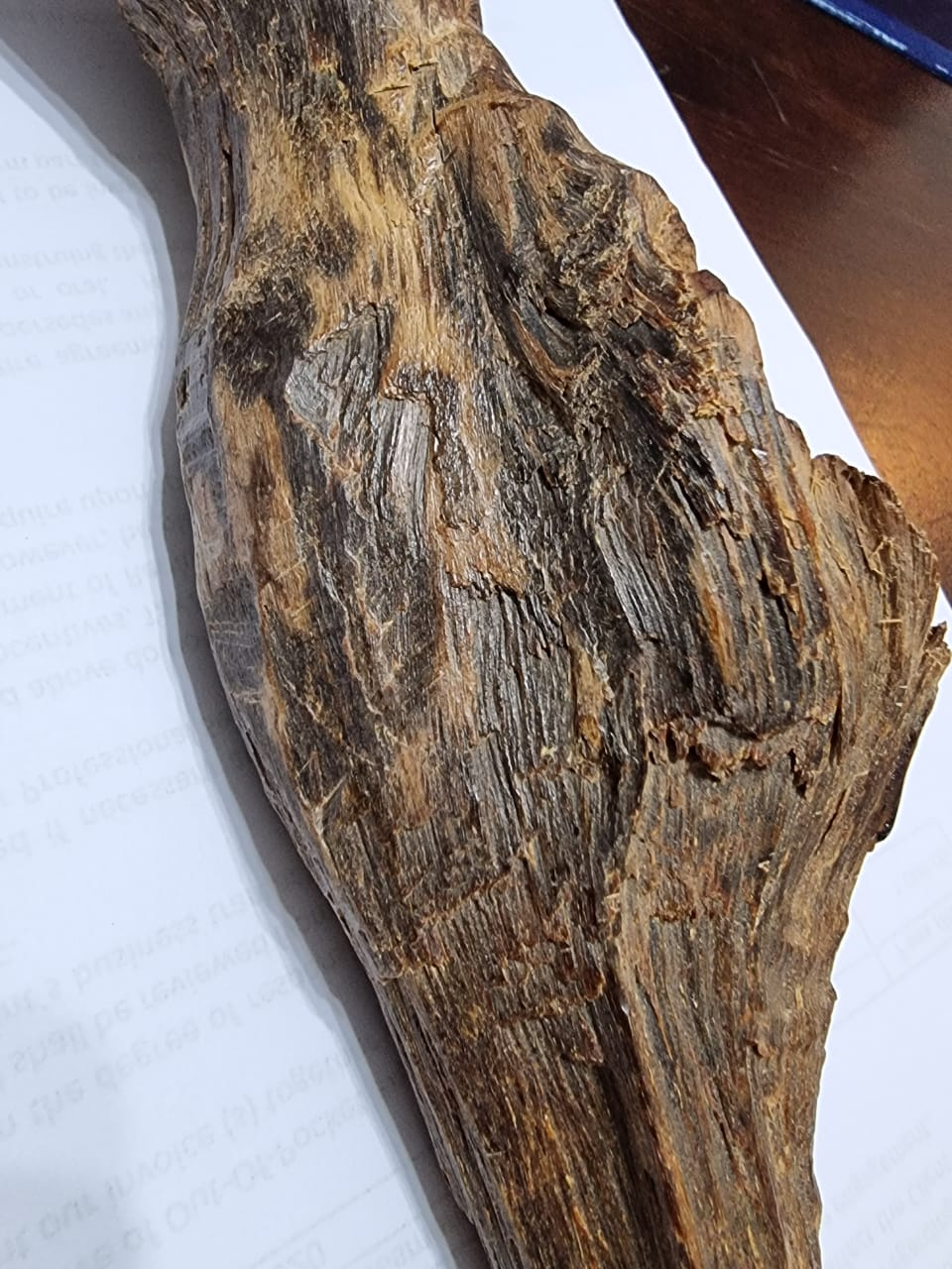 Little Precious — wood detail